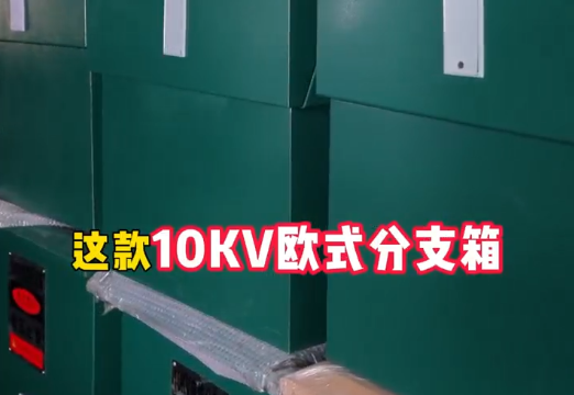 sunbet电气10kv欧式电缆分支箱